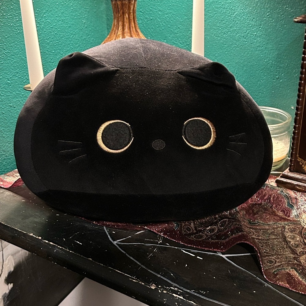 Black Cat Stuffy
